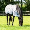 Derka siatkowa Stable buddy Dachshund SS26 - QHP - PONY 
